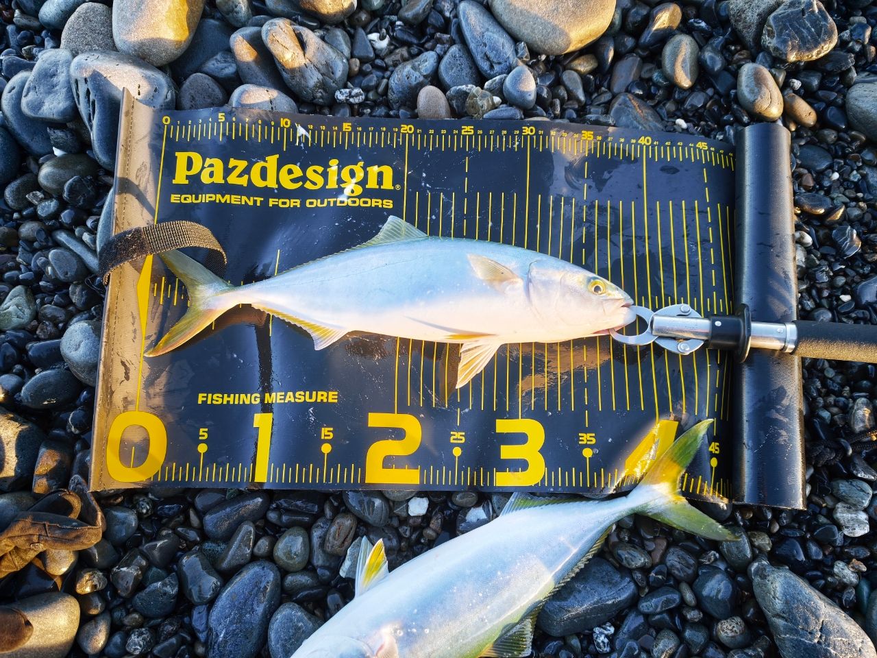 SHIMANO 20ワールドシャウラ BG 21053R-3の最安値・インプレ・釣果