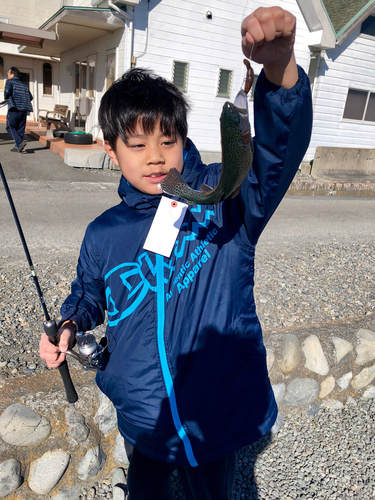 レインボートラウトの釣果