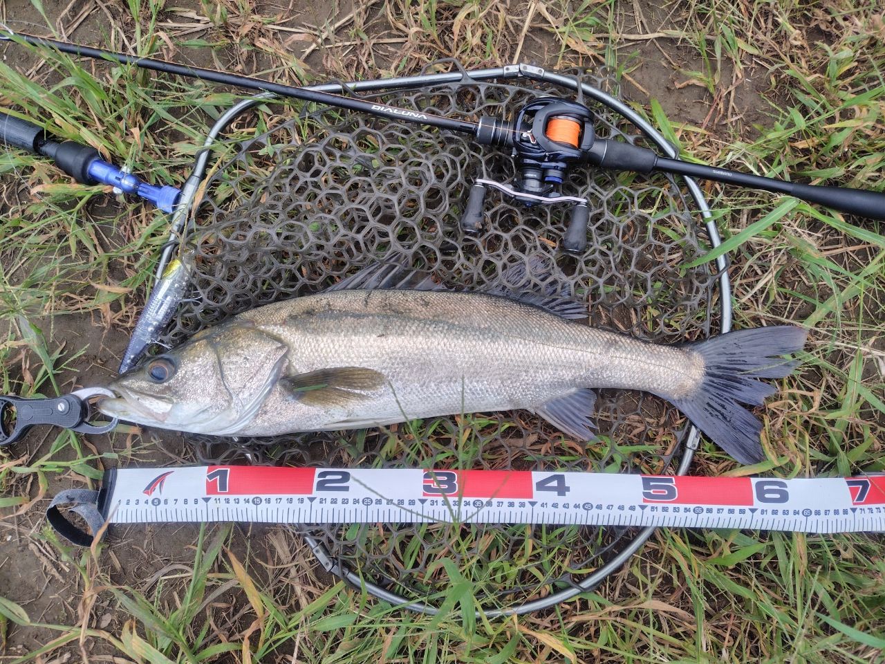 SHIMANO 23ディアルーナ B86MLの最安値・インプレ・釣果 | 本音の