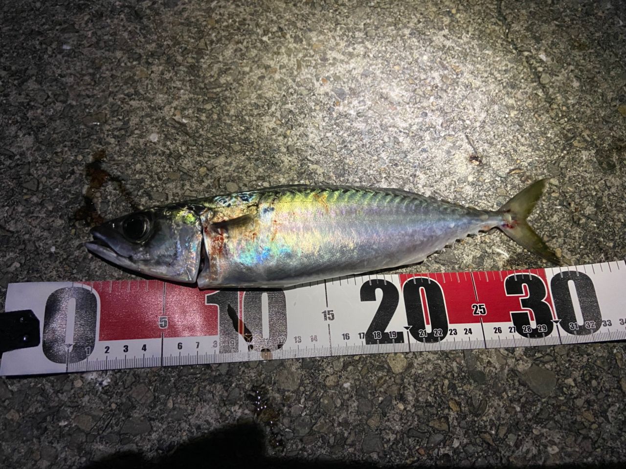 SHIMANO 23ソアレ BB アジング S64UL-Sの最安値・インプレ・釣果