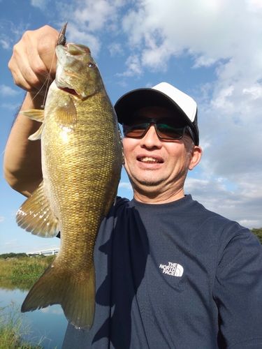 シングルフックさんの2026年10月09日(金)の釣行(神奈川県 - 相模川
