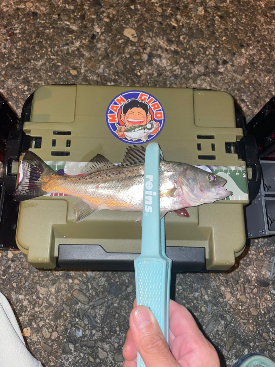 SHIMANO 22ソアレ SS アジング S58UL-Sの最安値・インプレ・釣果