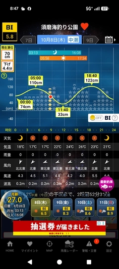 エソの釣果