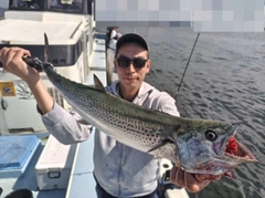 サワラの釣果