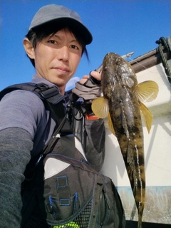 マゴチの釣果