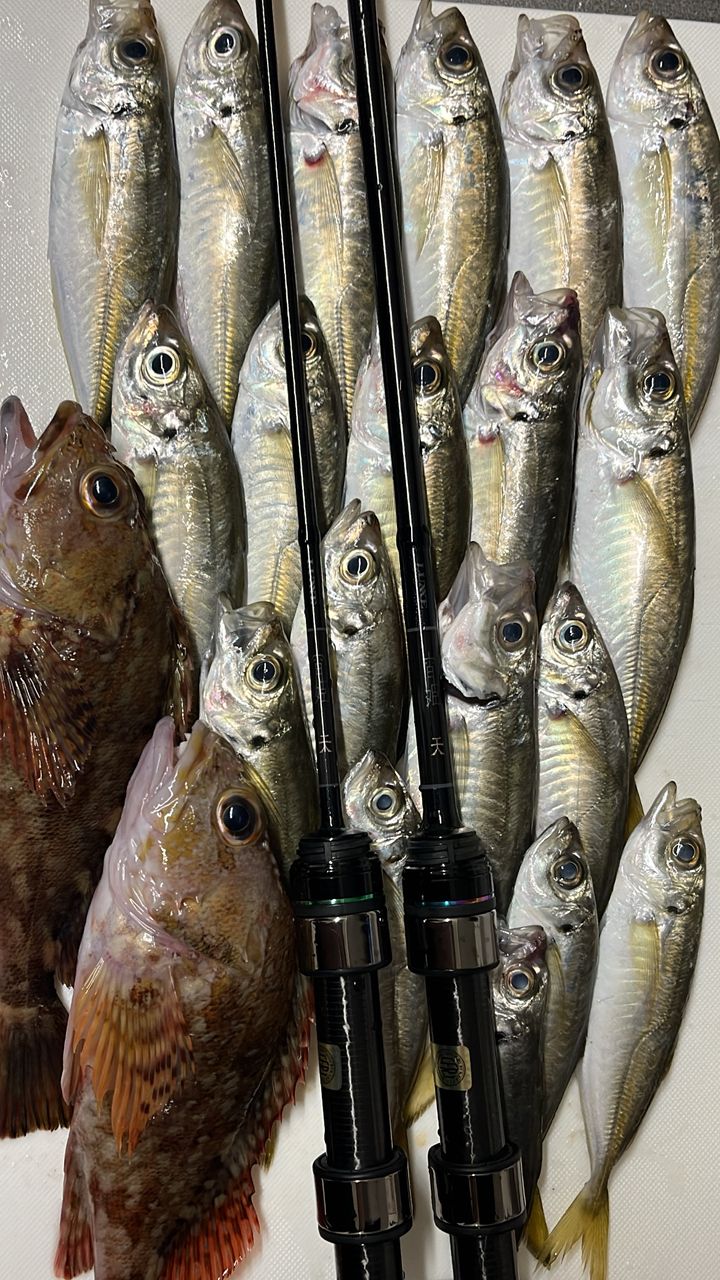 SHIMANO 19ヴァンキッシュ C2000SHGの最安値・インプレ・釣果 | 本音の
