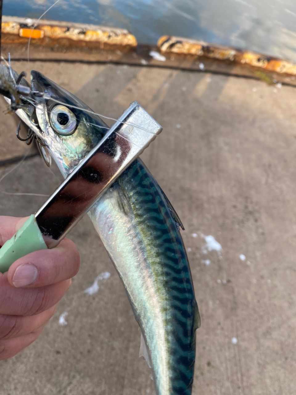 SHIMANO 18ディアルーナ S96MLの最安値・インプレ・釣果 | 本音の