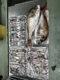 モクズガニの釣果
