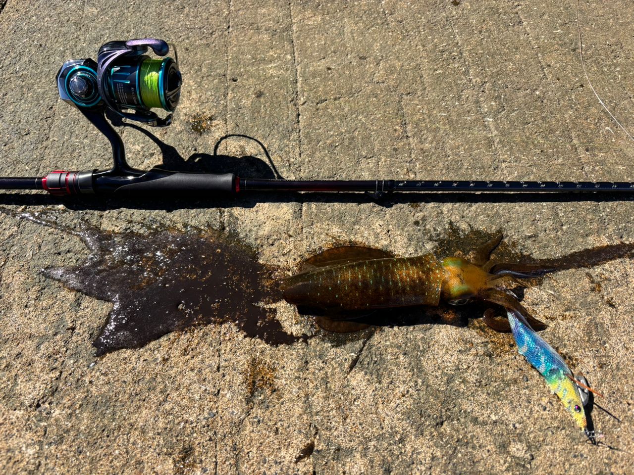 SHIMANO 22セフィア BB S83MLの最安値・インプレ・釣果 | 本音の口コミ
