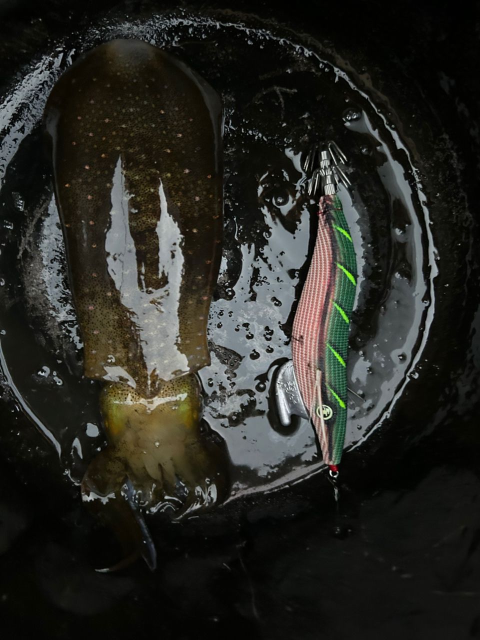 DAIWA 23エメラルダス ストイスト ST（アウトガイドモデル） 83M-SMTの