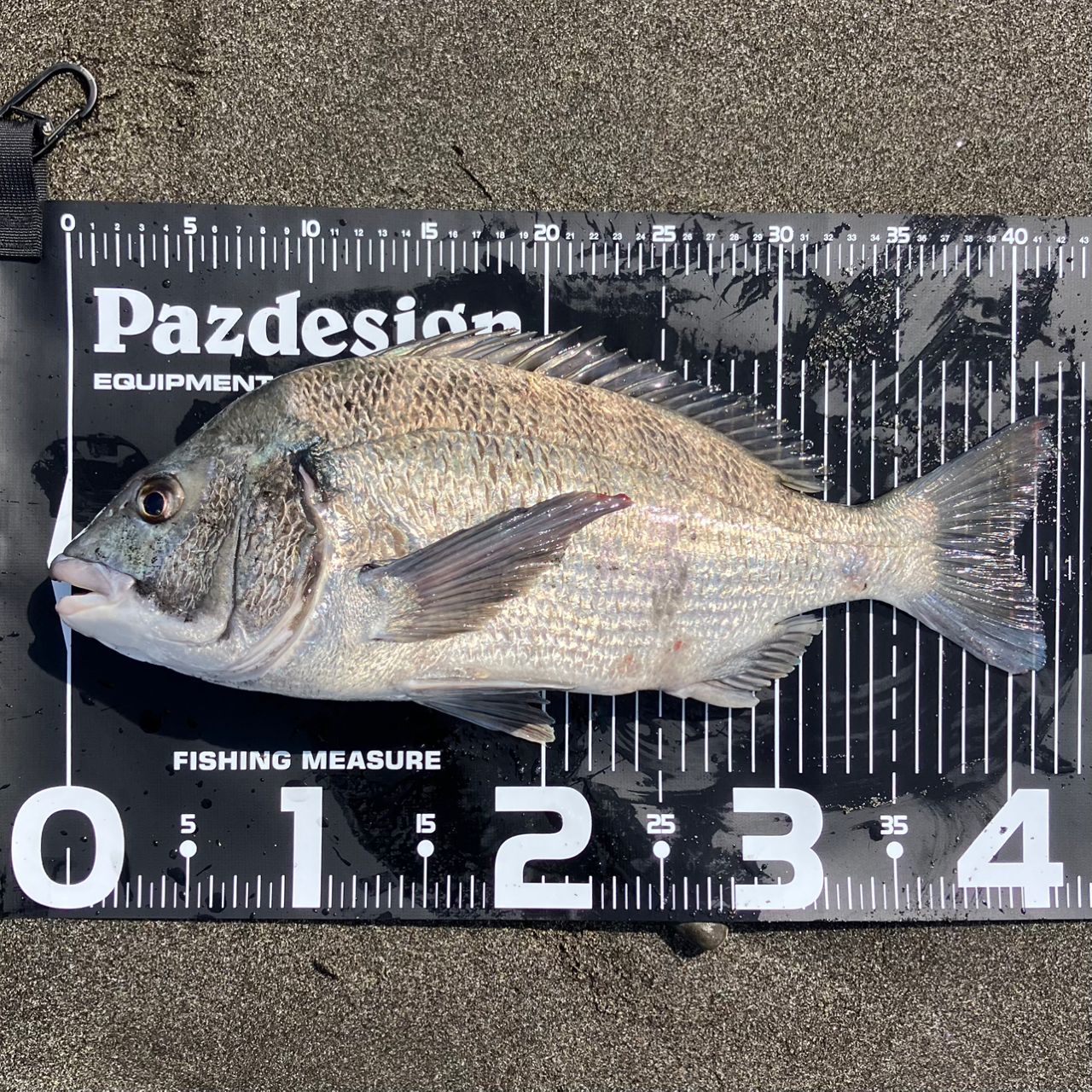 SHIMANO 23ソアレ BB S80L-Sの最安値・インプレ・釣果 | 本音の口コミ