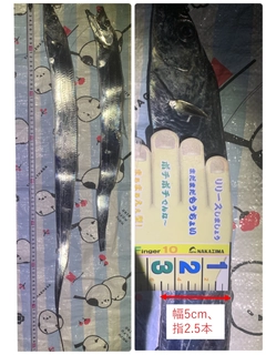 タチウオの釣果