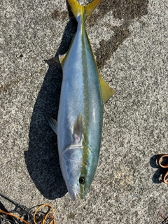 釣果