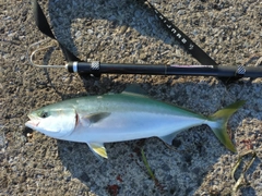 釣果
