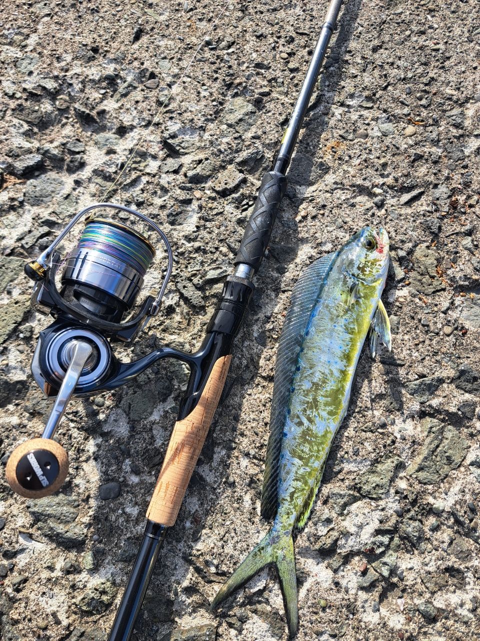 DAIWA 23ファントム リベラリスト 863ML+RSSの最安値・インプレ・釣果
