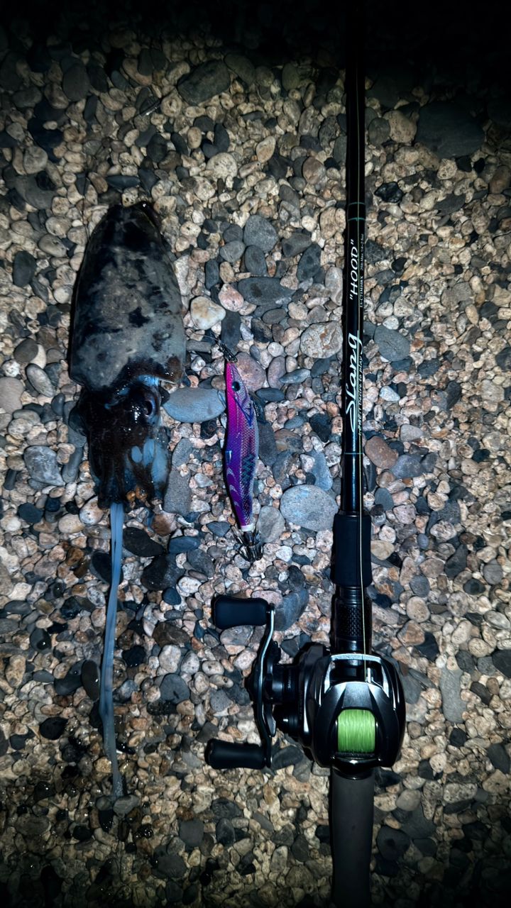 DAIWA 20ジリオン SV TW 1000HLの最安値・インプレ・釣果 | 本音の
