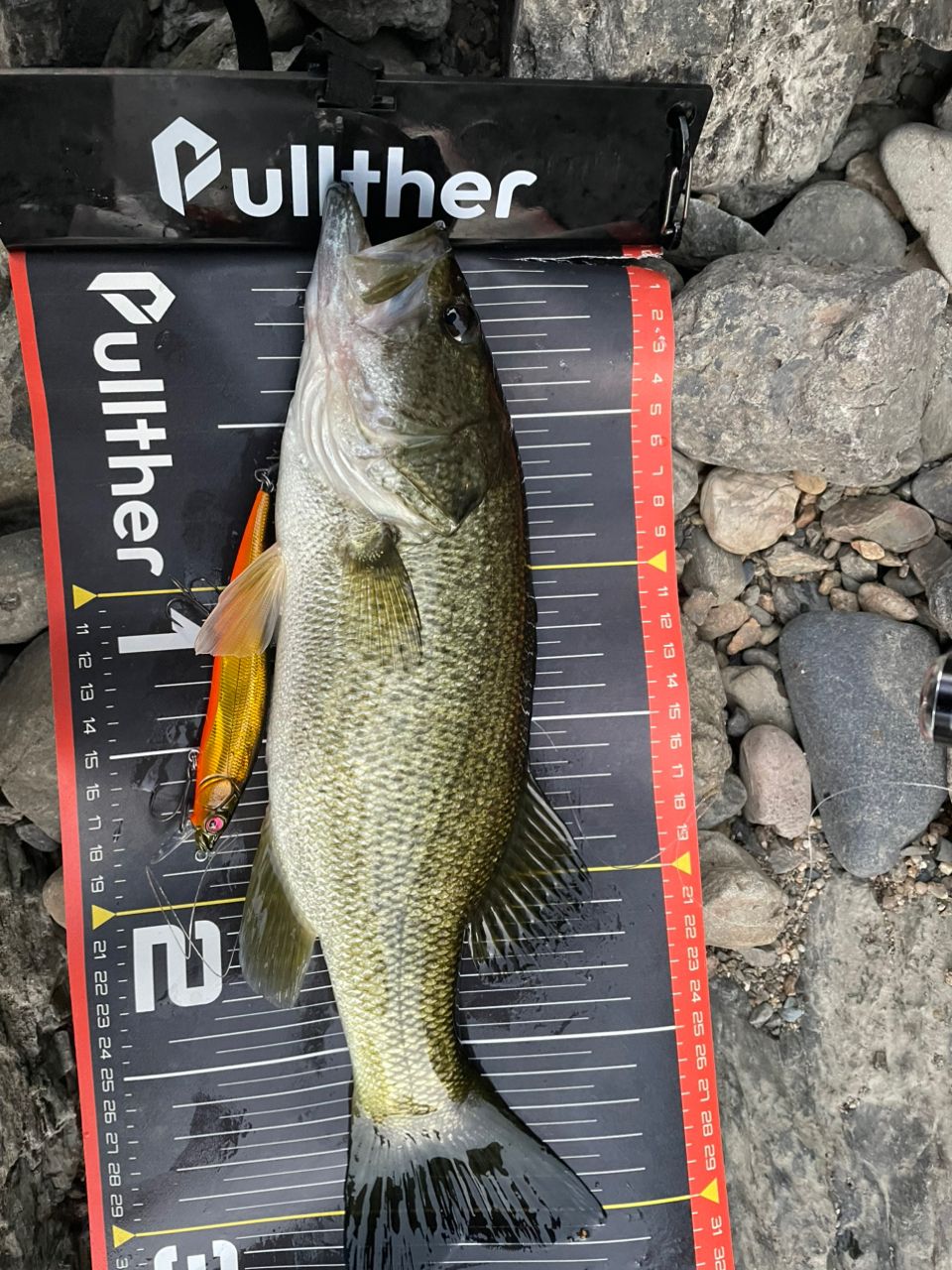 SHIMANO 20ゾディアス 176M-2の最安値・インプレ・釣果 | 本音の口コミ