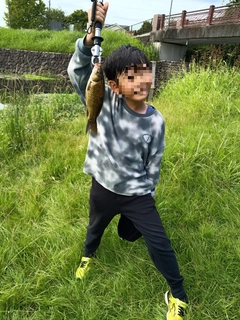 フナの釣果