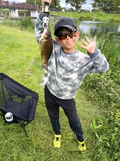 フナの釣果