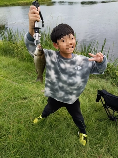 フナの釣果