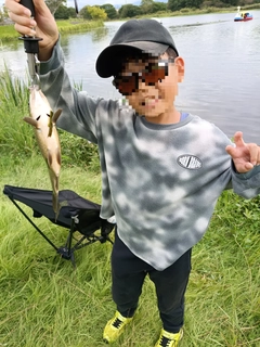 フナの釣果