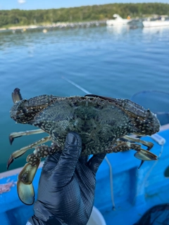 カニの釣果