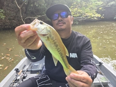 ラージマウスバスの釣果