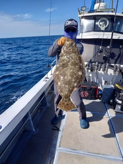ヒラメの釣果