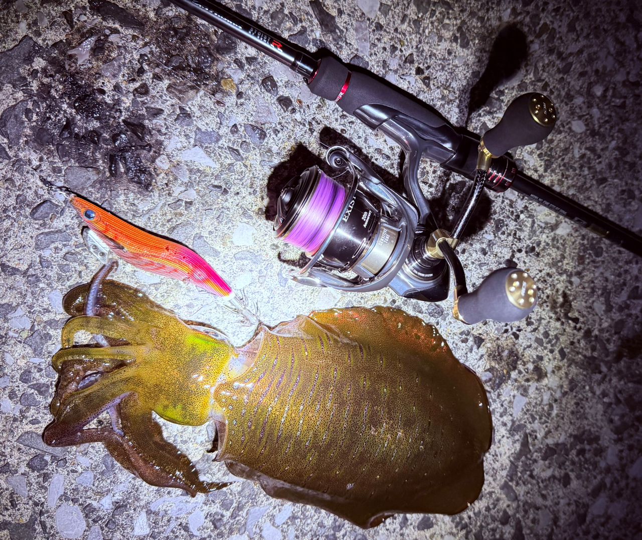 DAIWA 21エメラルダス ストイスト RT 88MLの最安値・インプレ・釣果