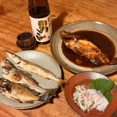 コブダイの釣果