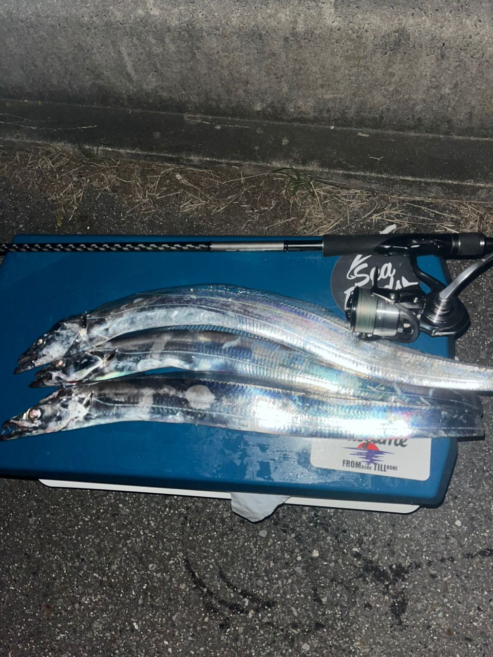 SHIMANO 18ディアルーナ S96Mの最安値・インプレ・釣果 | 本音の口コミ