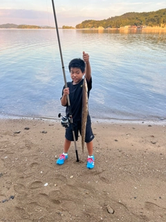 ハモの釣果