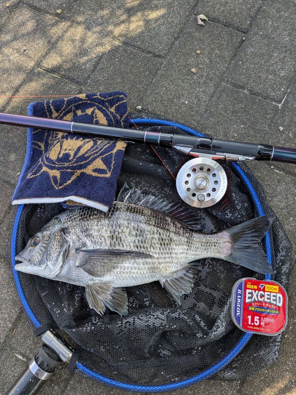 DAIWA 19飛竜 クロダイ MH-53UM・Yの最安値・インプレ・釣果 | 本音の