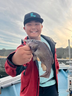 ガヤの釣果