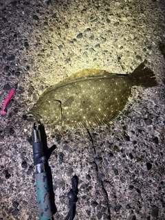 ソゲの釣果