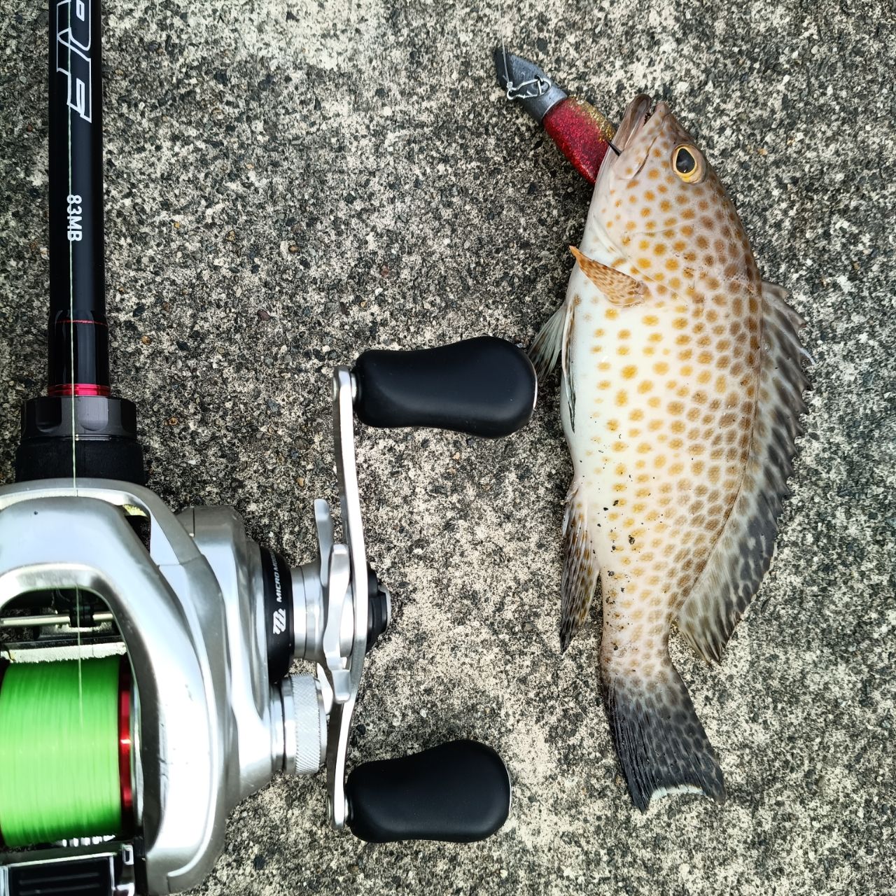 DAIWA 22HRF® (ハードロックフィッシュ) 83MB・Qの最安値・インプレ
