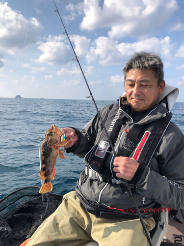 アラカブの釣果