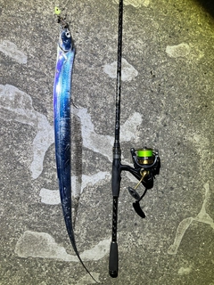 タチウオの釣果