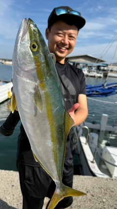 イナダの釣果