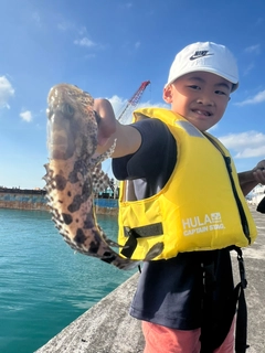 イシミーバイの釣果