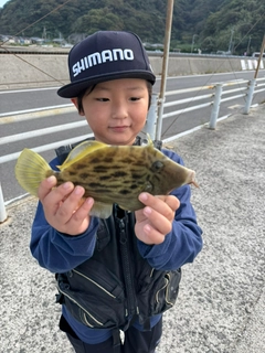 カワハギの釣果