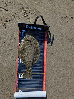 ソゲの釣果
