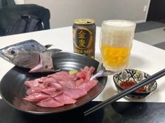 スマガツオの釣果