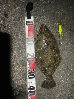 ソゲの釣果