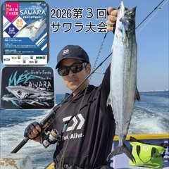 サゴシの釣果