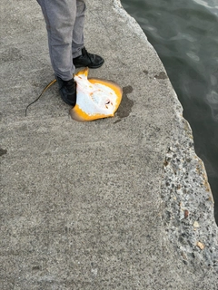 GTの釣果
