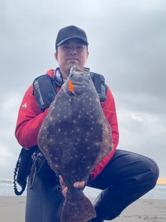 ヒラメの釣果