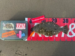 ヒラメの釣果