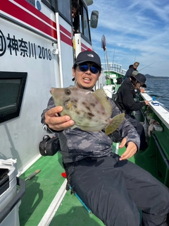 カワハギの釣果
