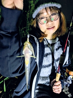 マハゼの釣果